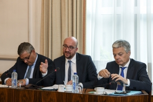 Verenigde commissies voor de buitenlandse betrekkingen en voor de landsverdediging