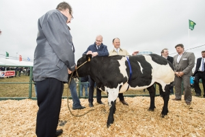 Besuch auf der Landwirtschaftsmesse von Libramont