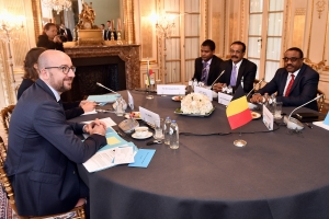 •	Treffen mit dem Premier der Demokratischen Bundesrepublik Äthiopien, Seine Exzellenz Haile Mariam Dessalegn