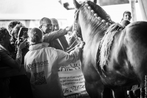 Besuch auf der Landwirtschaftsmesse von Libramont